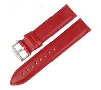 FLAGPVPAGT Watch Band 13mm 14mm 16mm 17mm 18mm 19mm 20mm Watchbands Fit For DW(Red-Silver,17mm)