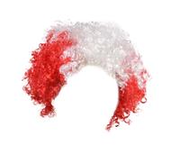 Flags Of European Cup Countries National Flag Short Curly Wig 2024 European Cup Short Curly Flag Wig Fans Cheer Supplies Afro Wig Team Fans Party Long Dark Wig Lace Front (J, One Size)