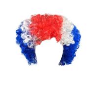 Flags Of European Cup Countries National Flag Short Curly Wig 2024 European Cup Short Curly Flag Wig Fans Cheer Supplies Afro Wig Team Fans Party Long Dark Wig Lace Front (O, One Size)