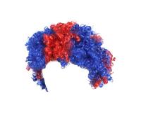 Flags Of European Cup Countries National Flag Short Curly Wig 2024 European Cup Short Curly Flag Wig Fans Cheer Supplies Afro Wig Team Fans Party Long Dark Wig Lace Front (N, One Size)