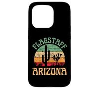 Flagstaff Case for iPhone 15 Pro