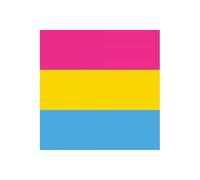 FlagSuperstore Pansexual Bandana Flag Scarf Headband Pride LGBTQ