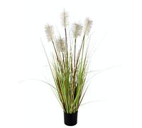 Flair Flower 150999 N Pampas Grass in Pot, Plastic, natural, 90 x 28 x 28 cm
