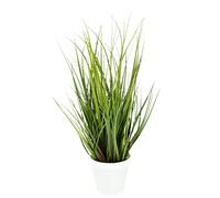Flair Flower Artificial Grass Plant, 1 x 43 cm, Decorative Grass Bush in Pot, Easy Care, Indoor-Outdoor