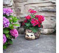 Flamboya 26cm Woodland Hedgehog Planter