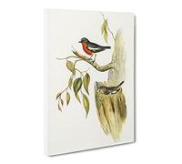 Flame Breasted Robin Bird By Elizabeth Gould Canvas Print | Gallery Wrapped 30mm Frame Wall Art | 24x16 inches | Ready to Hang | Retro Animals Picture | Living Room Bedroom Lounge Office