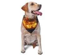 Flame Kitty Printed Graphic Pet Triangle Scarf For Dogs & Cats, Adjustable Cute Pet Bandana For & Photo Shoots