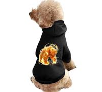 Flame Roaring Bear Dog Hoodie Shirts Pet Clothes for Small Puppy Cat Costume 2XL