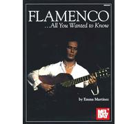 Flamenco - All You Wanted To Know. Guitar Solo.