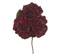 FLAMENCO FLOWER (BURGUNDAIS)