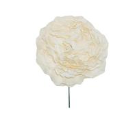 FLAMENCO FLOWER CURLY LEAF (MARFIL)