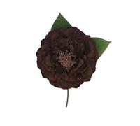 FLAMENCO FLOWER PEONIA (MARRON)