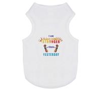 'Flames of Strength and Freedom' Pet Dog/Cat T-Shirt (PT00137930)