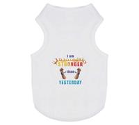 'Flames of Strength and Freedom' Pet Dog/Cat T-Shirt (PT00137931)
