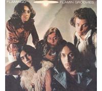 Flamin Groovies