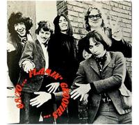 Flamin' Groovies - 68/70