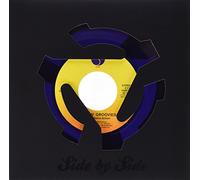 Gardner, Dylan & Flamin Groovies - Shake Some Action [VINYL]