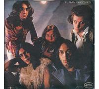 Flamin' Groovies - Flamingo
