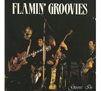 Flamin' Groovies - Groove in