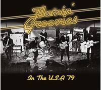 Flamin' Groovies - In The U.S.A '79