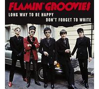 Flamin' Groovies - Long Way to Be Happy [Import belge]