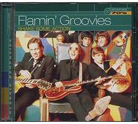 Flamin Groovies - Shake Shake Some Action