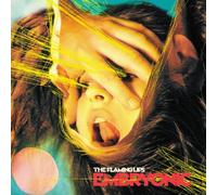 The Flaming Lips – Embryonic – Standard Edition