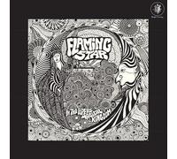 Flaming Star - In The Pipers Magical Kingdom [VINYL]