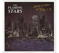 Flaming Stars - Bury My Hear [Vinyl Single] [VINYL]