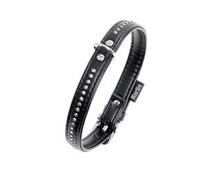 FLAMINGO ALP Monte Carlo Dog Collar 21 cm 11 mm Black