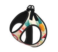 Flamingo and Pineapple 1 Print Step in Dog Harness and Leash Set,Adjustable Reflective Harness for Small Dogs Cats