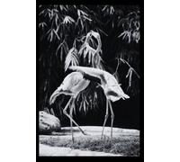 Flamingo - Animals Of The World: Notebooks with Animals for Kids, Notebook for Drawing and Writing (Colorful & Cartoon Cover, 100 Pages, Blank, 6x9), (Animals of the Word)