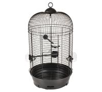 Flamingo Budgie Cage Sanna 2 Black 35x35x67 Cm With Accessories Metal