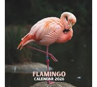 Flamingo Calendar 2026: Tropical Pink Bird Scenes • U.S. Holidays Marked • Spacious 12-Month Grid • Glossy Cover | 8.5×8.5in