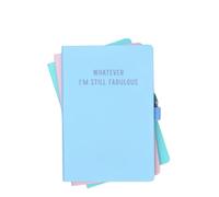 Flamingo Candles Whatever I'm Still Fabulous Blue Notebook, Motivational Notebook, 96 Pages, Pen Holder, Secret Santa Gift