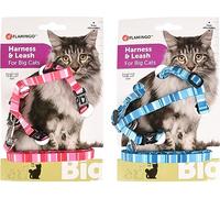 Flamingo Cat Harness with leash Alfry Multiple colours 25-40cm 35-55cm 100cm 10mm