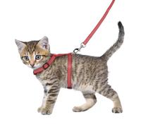 Flamingo Cat Harness with leash Kitten Aiwa Multiple colours 15-25cm 20-35cm 100cm 10mm