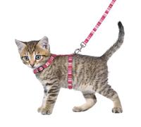 Flamingo Cat Harness with leash Kitten Alfry Multiple colours 15-25cm 20-35cm 100cm 10mm