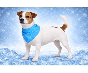 Flamingo COOLING BANDANA FRESK INOU S BLUE 52x22CM