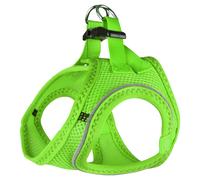 Flamingo Dish Step & Go Bento Green Nylon For Dogs With Click Buckle