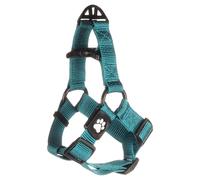 Flamingo Dish Step & Go Zorba Turquoise For Dogs, Adjustable, Reflective