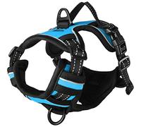 Flamingo Dog Harness Balou Blue S 31-55cm 40-55cm 20mm