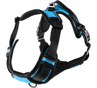 Flamingo Dog Harness Balou Blue XL 46-76cm 80-105cm 25mm