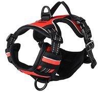 Flamingo Dog Harness Balou Red S 31-55cm 40-55cm 20mm