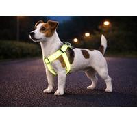 Flamingo Dog Harness Step&Go Fergu Fluo yellow S 25-45cm 25-45cm 15mm