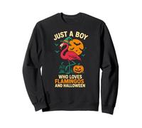 Flamingo Halloween Boy Loves Cute Boys Spooky Flamingo Sweatshirt