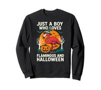 Flamingo Halloween Boy Loves Cute Boys Spooky Flamingo Sweatshirt