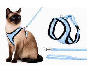 Flamingo Harms Cat Harness with Leash - Blue - Size A: 32 cm, B: 36-48 cm, C: 110 cm x 10 mm x 2 mm - Adjustable Nylon Harness with Breathable Mesh - Includes Leash - Ideal for Medium-Sized Cats