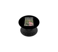 Flamingo in Everglades National Park Florida Outdoors Gift PopSockets Adhesive PopGrip