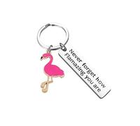 Flamingo Keyring, Inspirational Keyring You Are Amazing Keychain Gifts for Men Women Son Daughter Colleague Families,Stainless Steel Keychain for Christmas Birthday Valentine Graduation Festival Gift